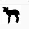 _blacksheep_